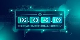 IP address lookup tool showing public IP and connection details